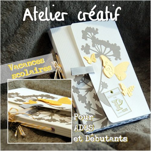 montage_atelier_ados_papillonweb