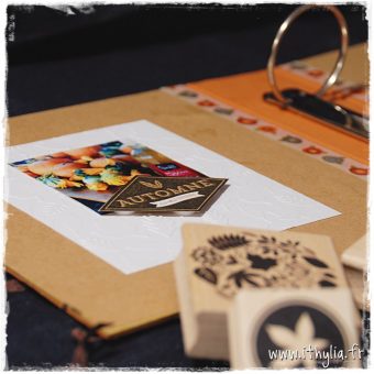 automne_2016-65_ithylia
